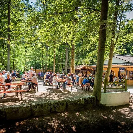 Brauereigasthof Zum Löwenbräu Hotel